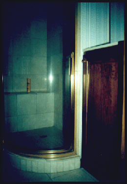 Bathroom view 1